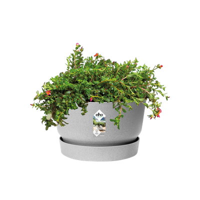 greenville schale 33cm living beton - elho®