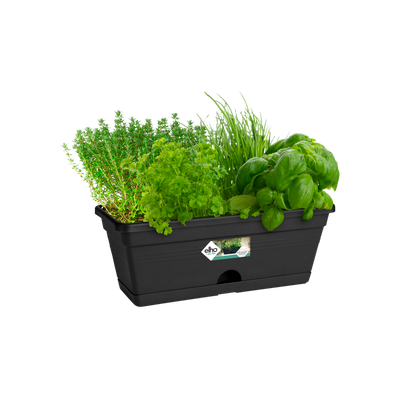 green basics trough mini 30cm living black - elho® - Give room to nature