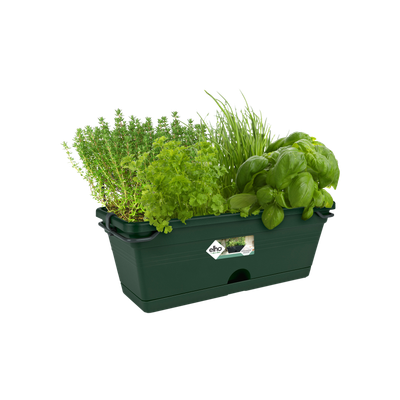 Elho Green Basics Trough Allin1 Balconiera da ringhiera con vaso integrato  - GardenStuff