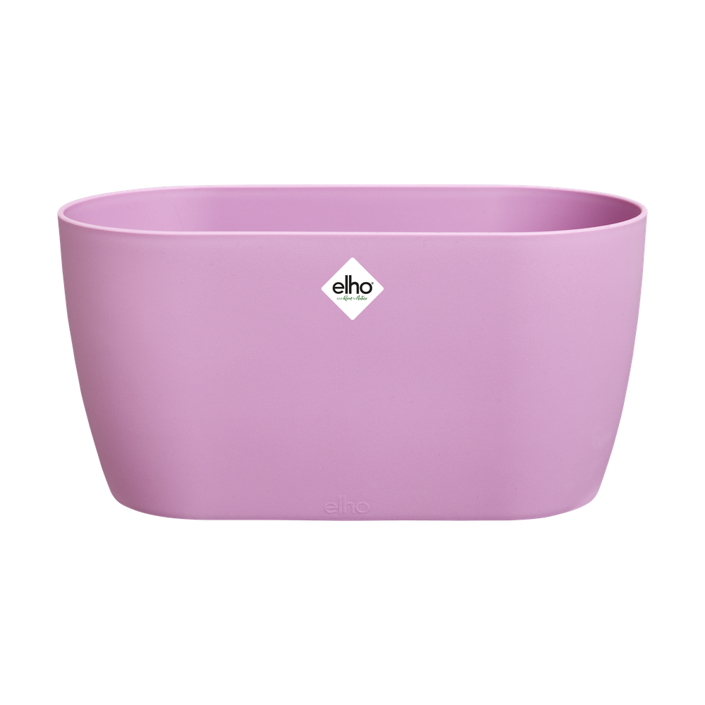 Masca de ghiveci brussels orchid duo 25cm vivid violet