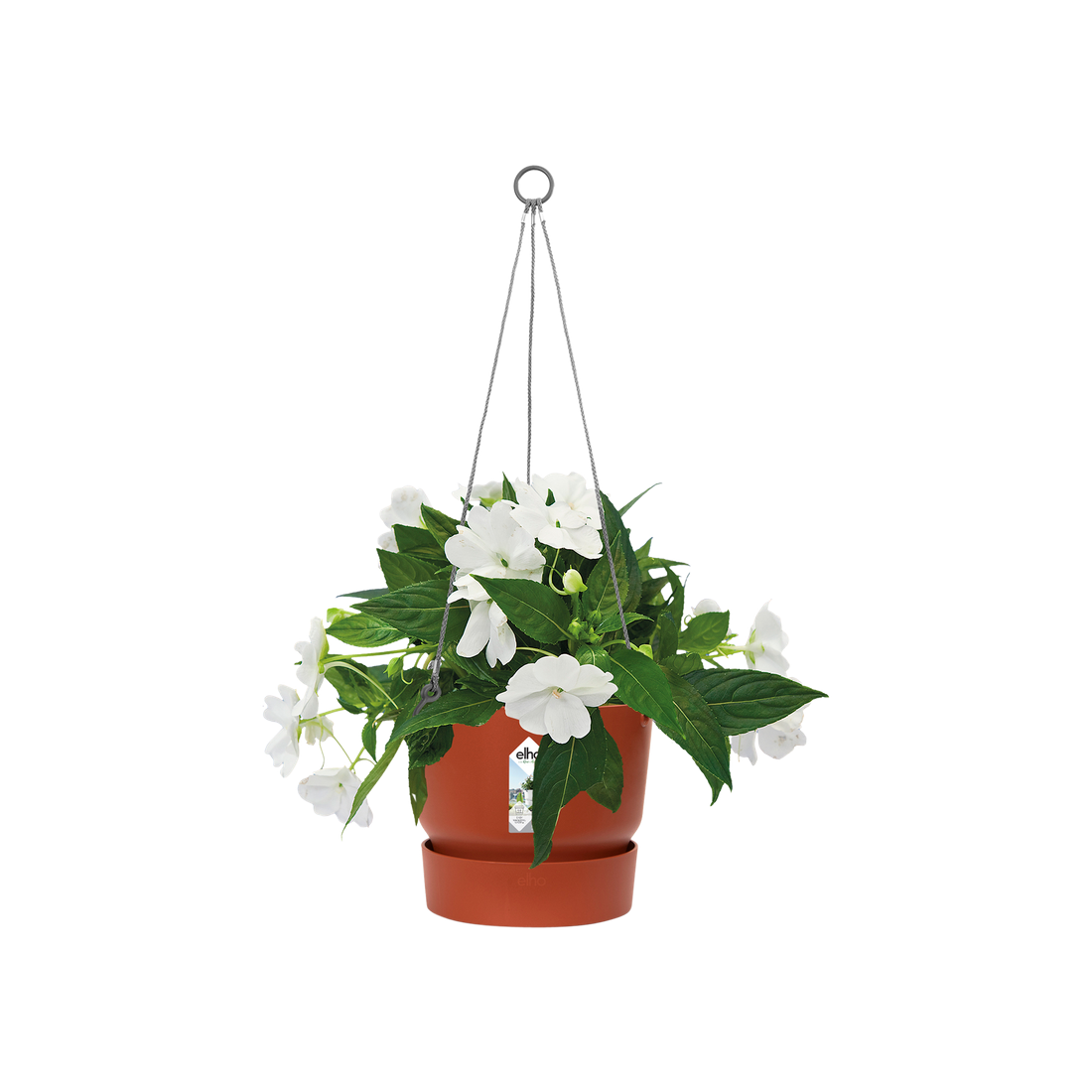 elho® greenville hanging basket 24cm