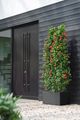 Jardinieră Elho vivo next, 60 cm, living black — imaginea 4