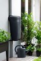 Ghiveci Elho green basics rain catcher, 35 cm, negru (living black) — imaginea 4