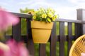 Jardinieră Elho vibia campana easy hanger small honey, L 21 × Î 27 × A 24 cm, galben (yellow) — imaginea 4