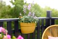 Jardinieră Elho vibia campana easy hanger medium honey, L 36 × Î 27 × A 24 cm, galben (yellow) — imaginea 4