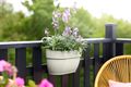 Jardinieră Elho vibia campana easy hanger medium, L 36 × Î 27 × A 24 cm, alb (silky white) — imaginea 4