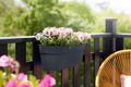 Jardinieră Elho vibia campana easy hanger large, L 46 × Î 27 × A 24 cm, antracit (anthracite) — imaginea 4