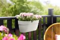 Jardinieră Elho vibia campana easy hanger large, L 46 × Î 27 × A 24 cm, alb (silky white) — imaginea 4