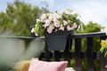 Jardinieră Elho vibia campana flower bridge, 40 cm, antracit (anthracite) — imaginea 4