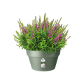 Ghiveci Elho bol loft urban rotund, 35 cm, pistachio green — imaginea 2