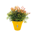 Ghiveci Elho roti loft urban rotund, 50 cm, ochre — imaginea 2