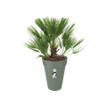 Ghiveci Elho inalt loft urban rotund, 35 cm, pistachio green — imaginea 2
