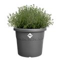 Ghiveci Elho algarve cilindro, 25 cm, antracit (anthracite) — imaginea 2