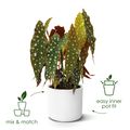 Mască de ghiveci Elho b.for soft round, 30 cm, antracit (anthracite) — imaginea 3