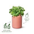 Ghiveci Elho bouncy basil, 17 cm, verde (leaf green) — imaginea 3