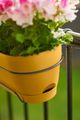 Jardinieră Elho vibia campana trough allin1 honey, 50 cm, galben (yellow) — imaginea 3