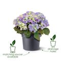 Ghiveci Elho green basics cilinder, 55 cm, mild terra — imaginea 3