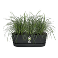 Jardinieră Elho balcon greenville easy balcony, 52 cm, living black — imaginea 2