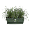 Jardinieră Elho balcon greenville easy balcony, 52 cm, leaf green — imaginea 2