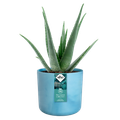 Mască de ghiveci Elho the ocean collection round atlantic, 18 cm, albastru (blue) — imaginea 2