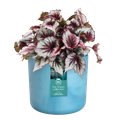 Mască de ghiveci Elho the ocean collection round atlantic, 16 cm, albastru (blue) — imaginea 2