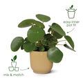 Mască de ghiveci Elho vibes fold round sorbet, 18 cm, verde (green) — imaginea 3