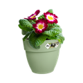Jardinieră Elho vibia campana easy hanger small, L 21 × Î 27 × A 24 cm, verde (pistachio green) — imaginea 2