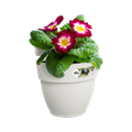Jardinieră Elho vibia campana easy hanger small, L 21 × Î 27 × A 24 cm, alb (silky white) — imaginea 2