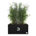 Jardinieră Elho vivo next, 60 cm, living black — imaginea 2