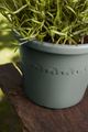 Ghiveci Elho algarve cilindro thyme, 25 cm, verde (green) — imaginea 4