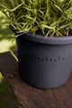 Ghiveci Elho algarve cilindro, 30 cm, antracit (anthracite) — imaginea 4
