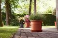 Ghiveci Elho algarve cilindro, 30 cm, terracotta (terra) — imaginea 4
