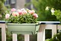 Jardinieră Elho barcelona allin1, 50 cm, verde (pistachio green) — imaginea 4