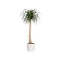 Mască de ghiveci Elho b.for soft round, 16 cm, alb (white) — imaginea 2