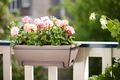 Jardinieră Elho sistem prindere barcelona allin1, 50 cm, taupe — imaginea 4