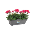 Jardinieră Elho sistem prindere barcelona allin1, 50 cm, antracit — imaginea 2