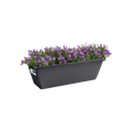 Jardinieră Elho barcelona, 40 cm, antracit — imaginea 2