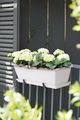 Farfurie Elho barcelona, 70 cm, alb — imaginea 4