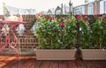 Jardinieră Elho barcelona xl, 60 cm, maro (taupe) — imaginea 4