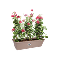Jardinieră Elho barcelona xl, 60 cm, maro (taupe) — imaginea 2