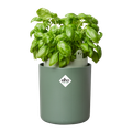 Ghiveci Elho bouncy basil, 17 cm, verde (leaf green) — imaginea 2