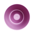 Mască de ghiveci Elho brussels orchid high vivid, 12,5 cm, violet — imaginea 6