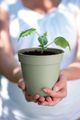 Ghiveci Elho productie green basics growpot green, 11 cm, stone green (stone) — imaginea 4