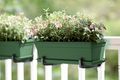 Ghiveci Elho green basics trough, 50 cm, verde (leaf green) — imaginea 4