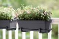 Jardinieră Elho green basics trough, 50 cm, negru (living black) — imaginea 4