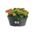 Ghiveci Elho bol green basics, 33 cm, living black — imaginea 2