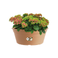 Ghiveci Elho bol green basics, 33 cm, mild terra — imaginea 2