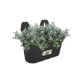 Jardinieră Elho green basics easy hanger large, L 35 × Î 26 × A 27 cm, negru (living black) — imaginea 2