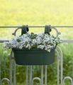 Jardinieră Elho green basics easy hanger large, L 35 × Î 26 × A 27 cm, verde (leaf green) — imaginea 4