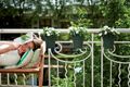 Ghiveci Elho agatatoare green basics easy hanger small, 17 cm, leaf green — imaginea 4